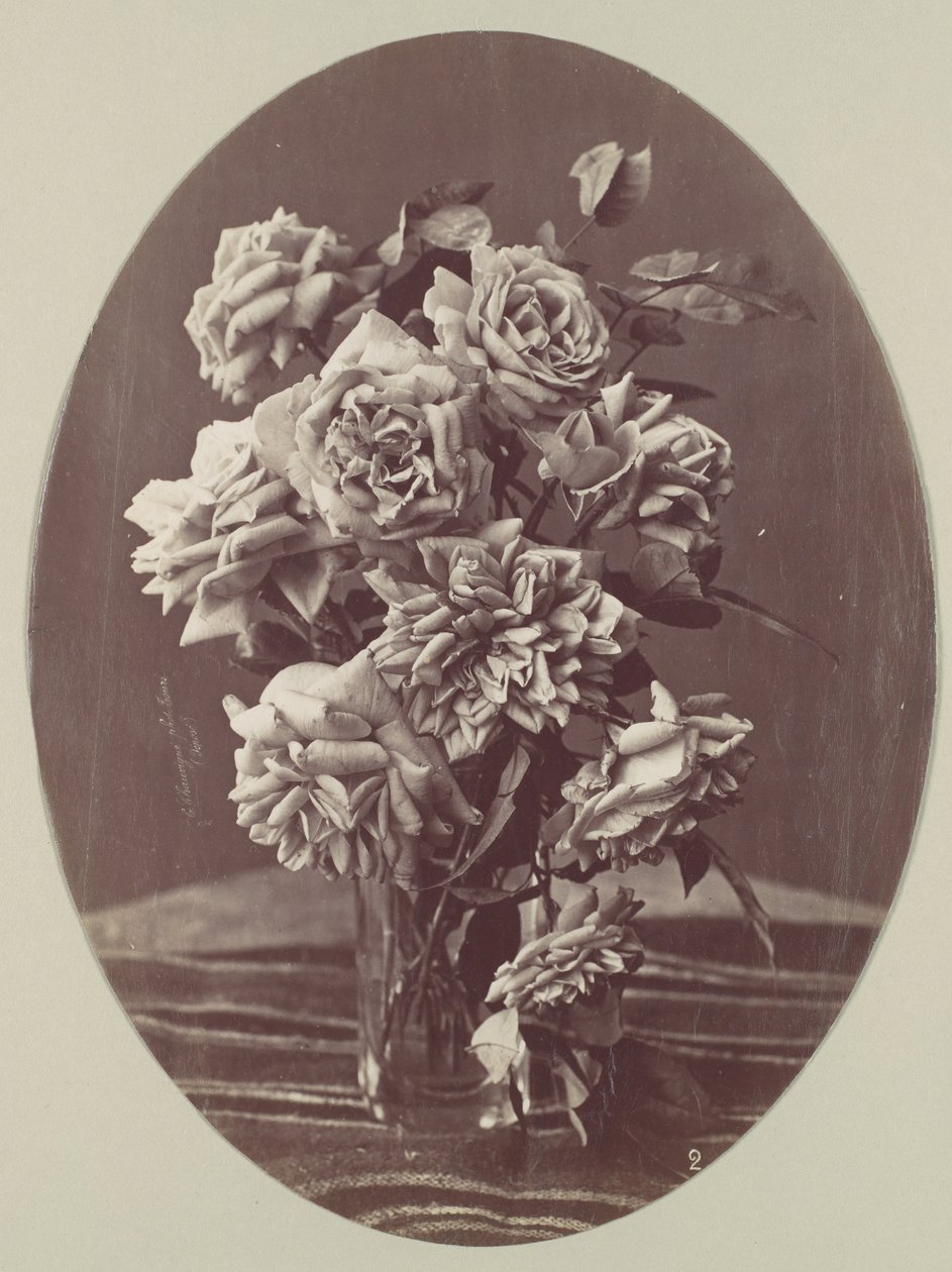 [Roses], ca. 1875.    1177577   no       norwegian Successfully Translated  Original: Architecture Pittoresque ou Monuments des xveme. Et xvieme. Siecles: Chateaux De France des XV et XVI Siecles: Pl.2, Portail de LEglise de Villiers Sur-Tholon (Yonne) Tra av Eugène Chauvigné