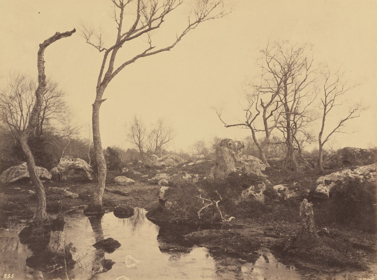 Vakkert kors, ca. 1858. av Eugène Cuvelier
