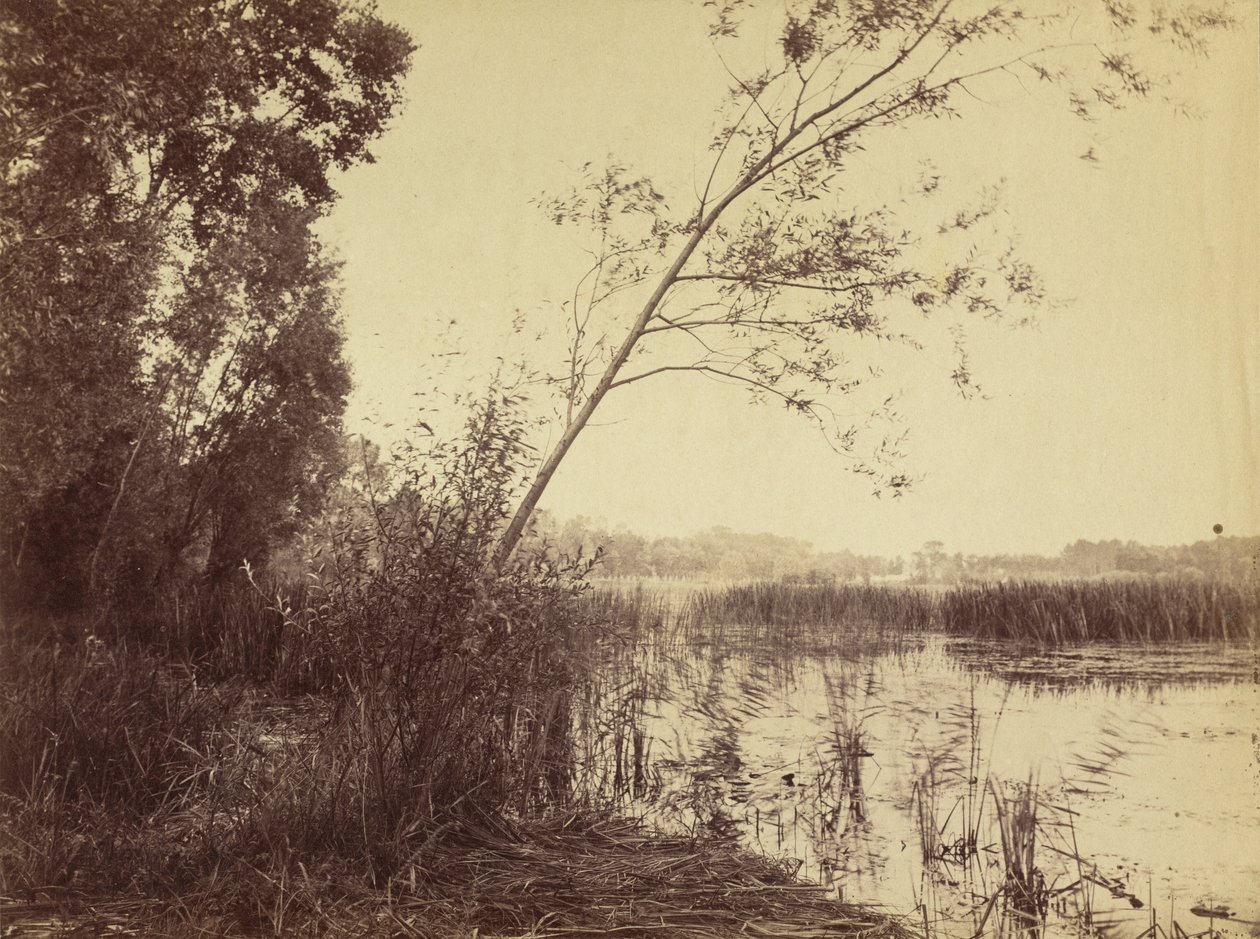 Marais de Fampoux, tidlig på 1860-tallet. av Eugène Cuvelier