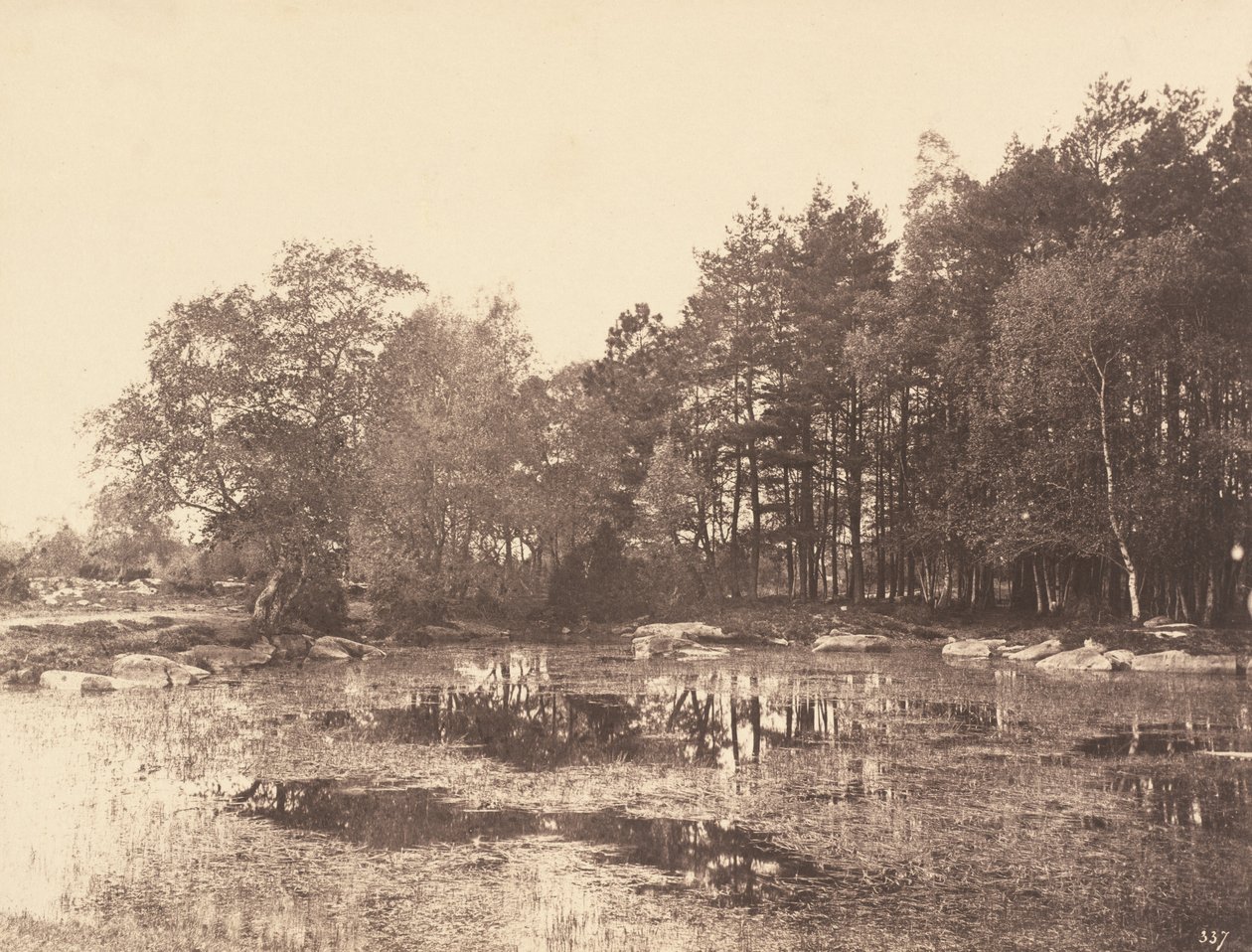 Myr ved Piat (Belle-Croix-platået) av Eugène Cuvelier