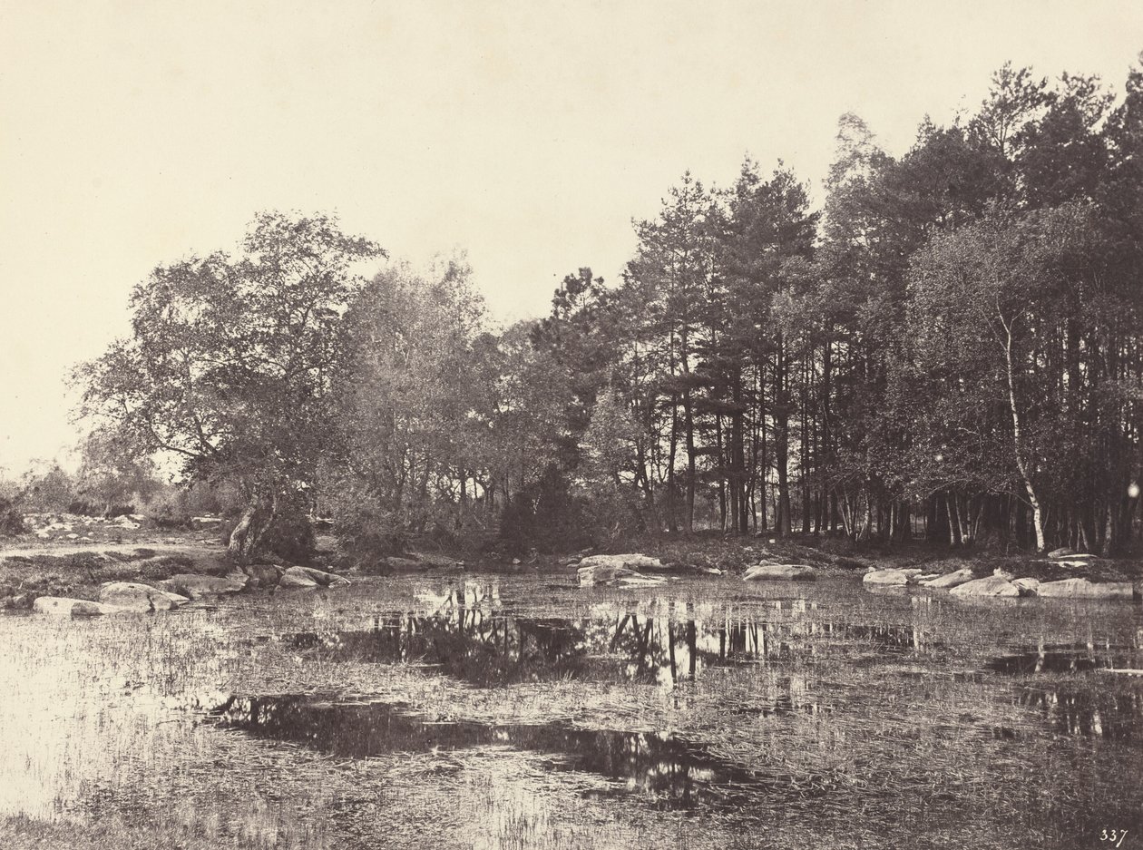 Myr ved Piat Belle-Croix-platået, ca. 1863. av Eugène Cuvelier