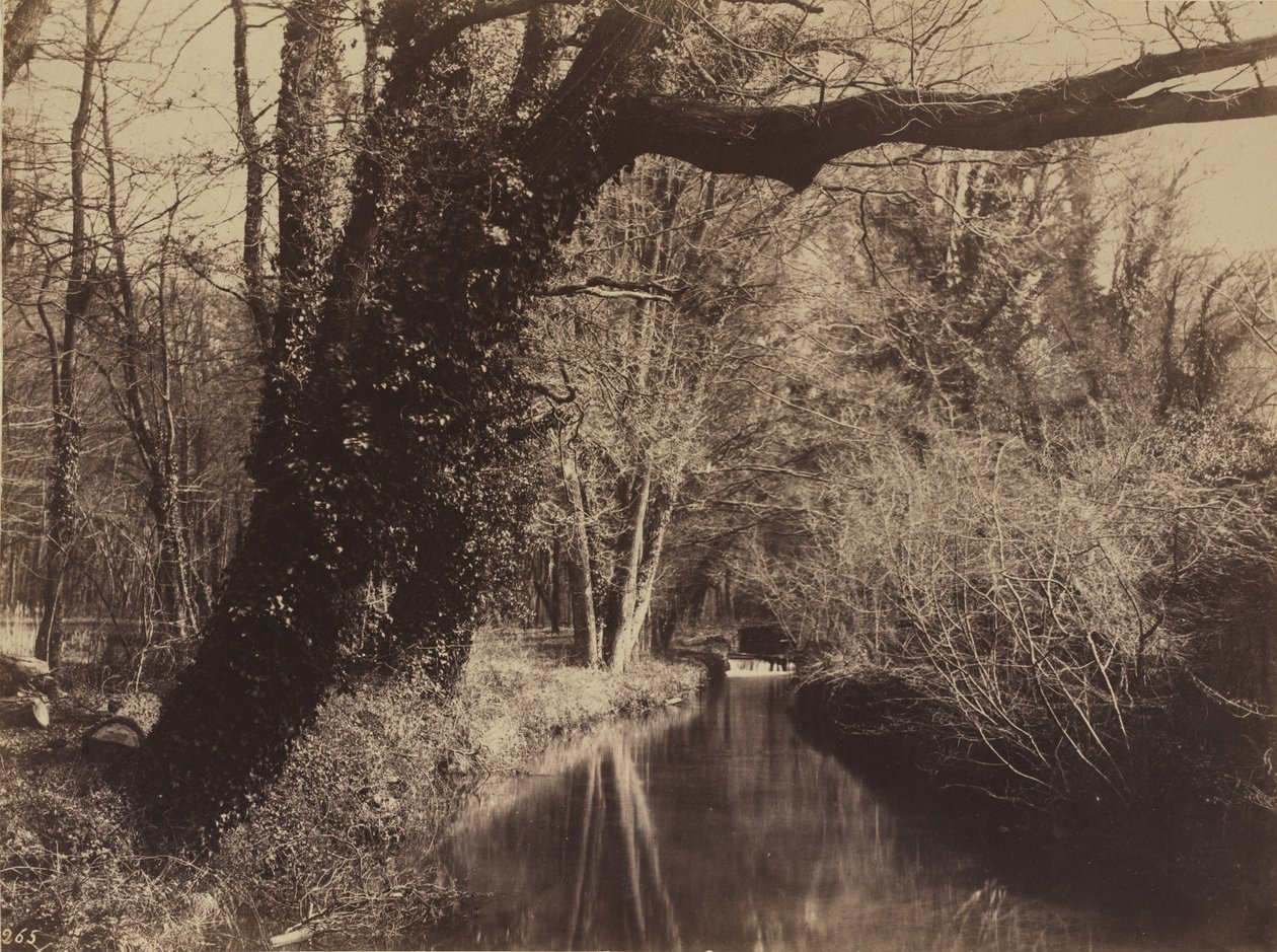 Courances Park av Eugène Cuvelier