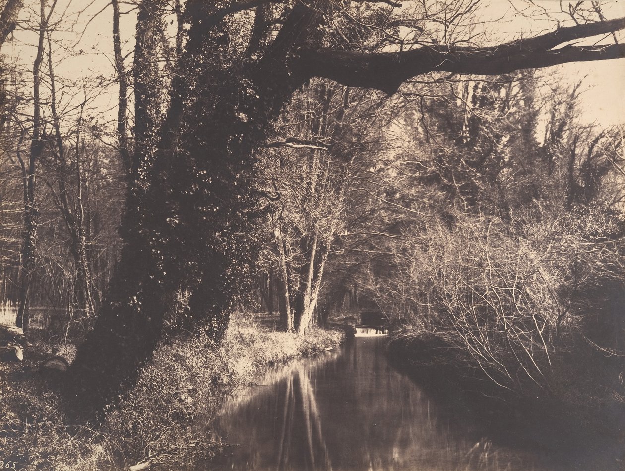 Courances Park, 1860-70. av Eugène Cuvelier