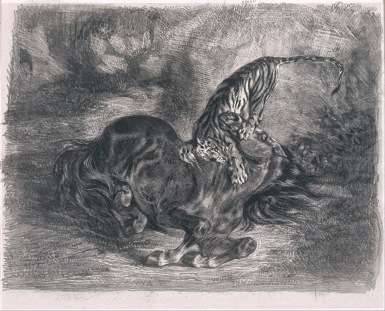 Villhest truffet av en tiger av Ferdinand Victor Eugene Delacroix