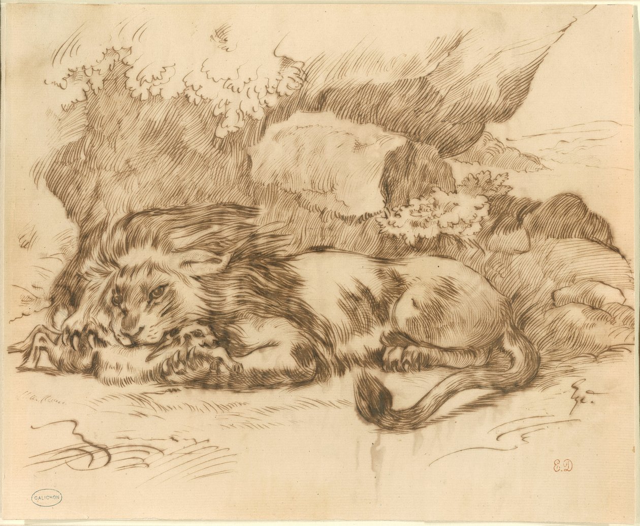 Løve som sluker en kanin av Eugène Delacroix