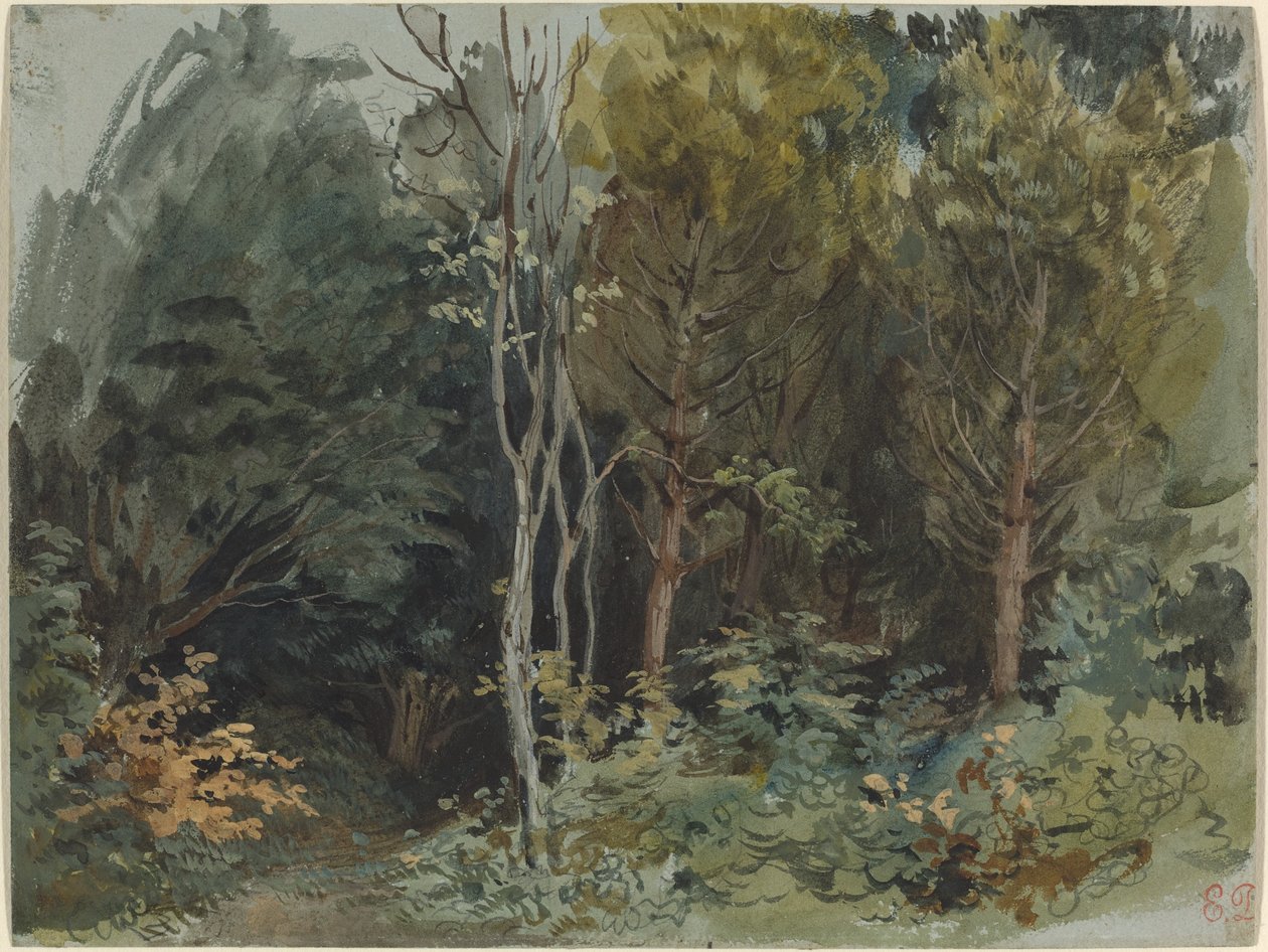 Edge of a Wood at Nohant av Eugène Delacroix