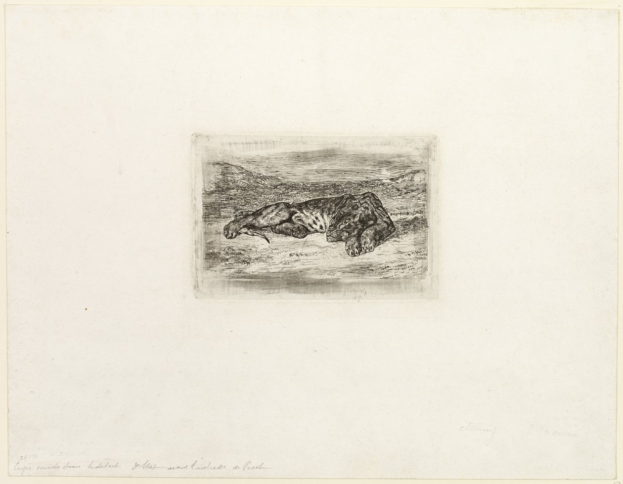 Tiger hviler i ørkenen av Eugène Delacroix