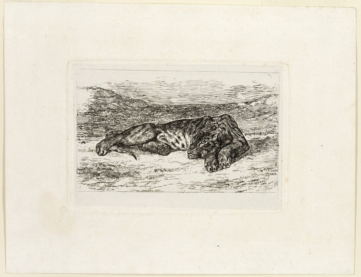 Tiger hviler i ørkenen av Eugène Delacroix