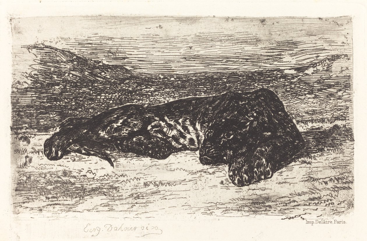 Tiger som sover i ørkenen av Eugène Delacroix
