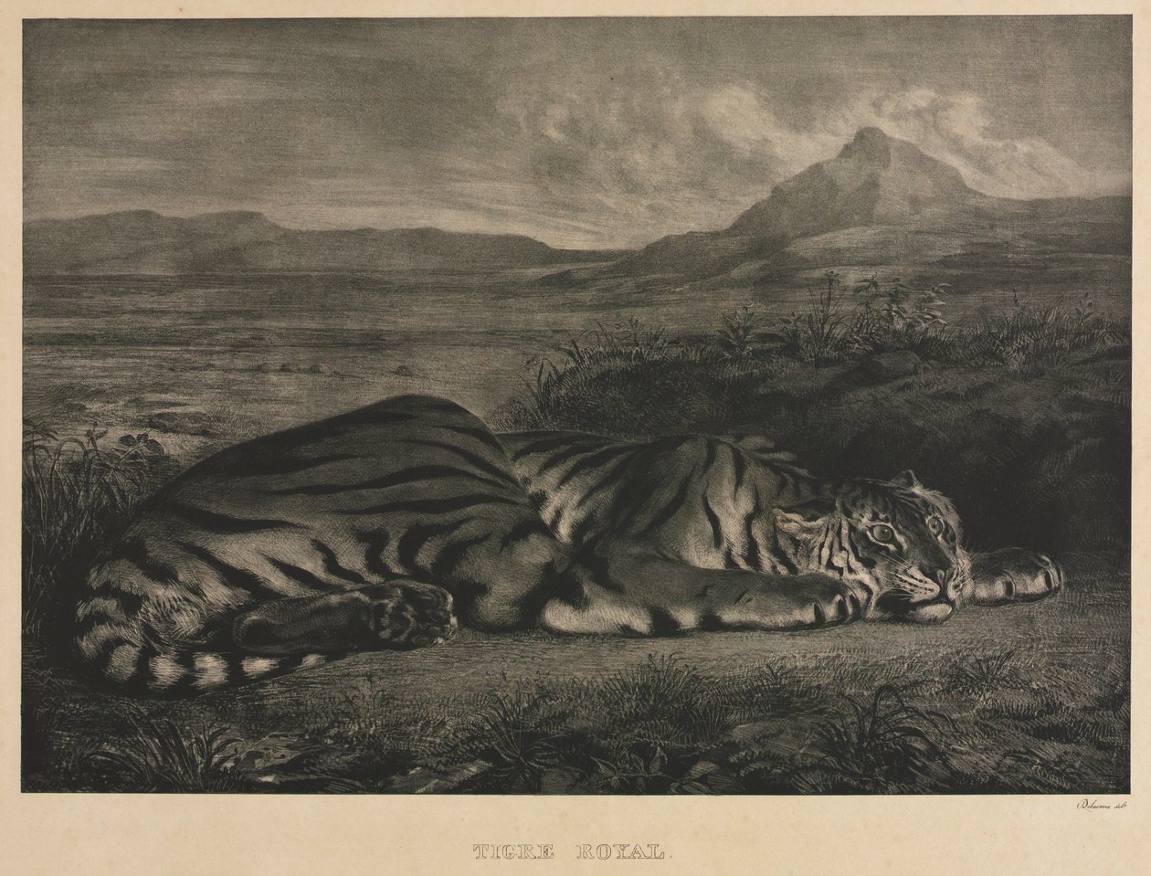 kongelig tiger av Eugène Delacroix