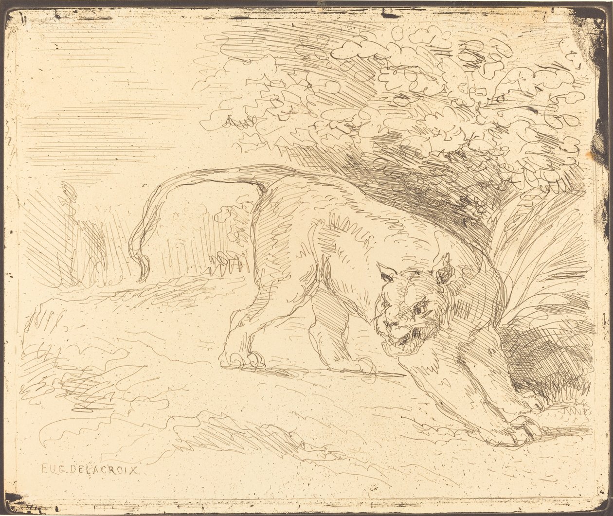 Tiger i stopp av Eugène Delacroix