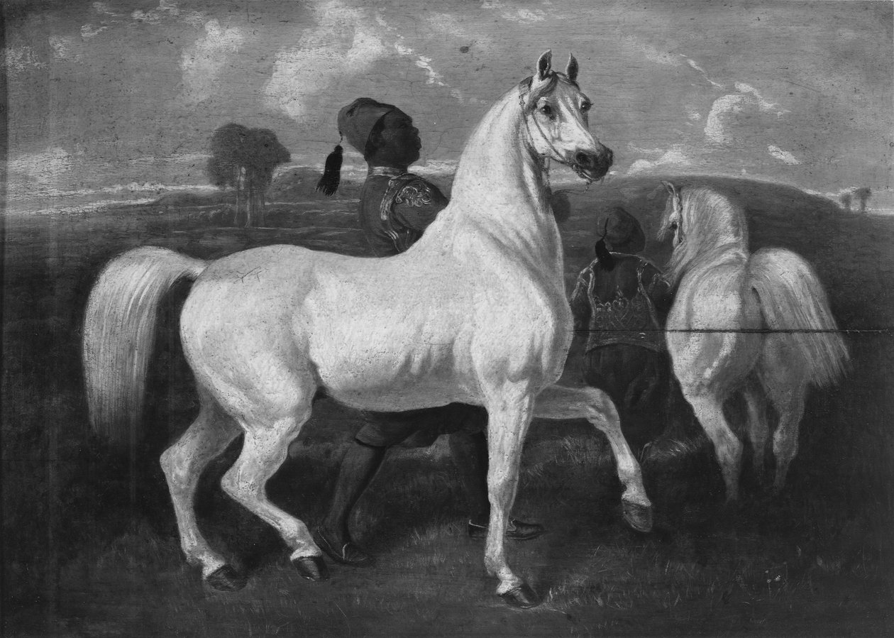 Arabiske hester, 1800-tallet av Eugène Fromentin