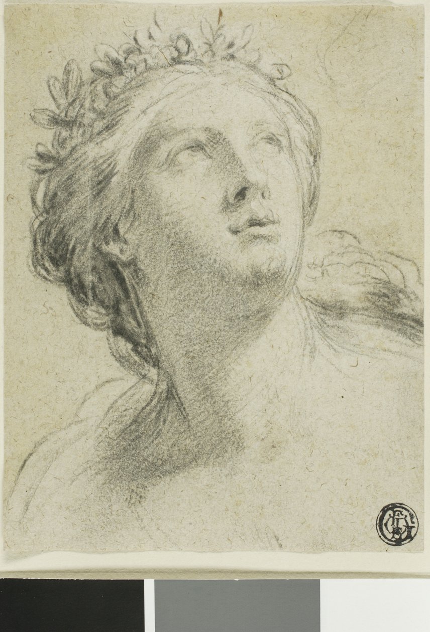 Hodet til en kvinne av Eustache Le Sueur