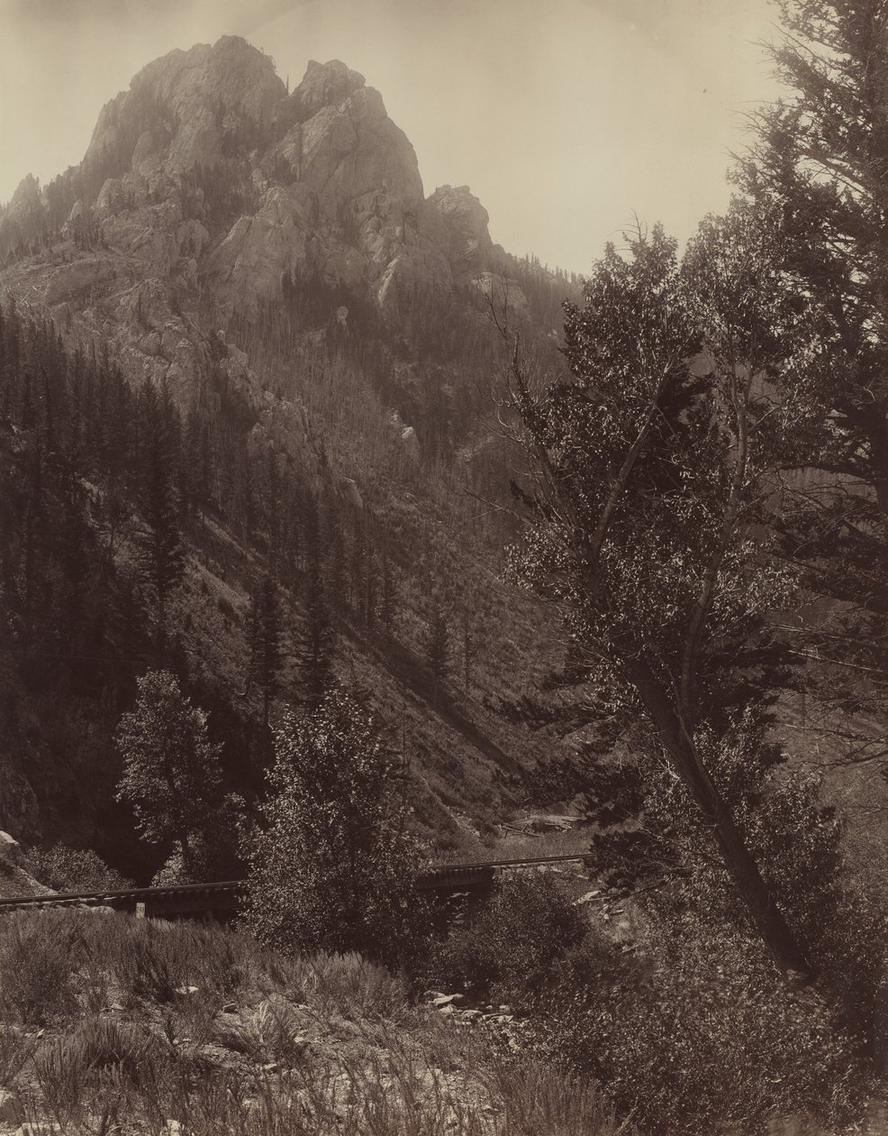Uten tittel, c. 1884. av F. Jay Haynes