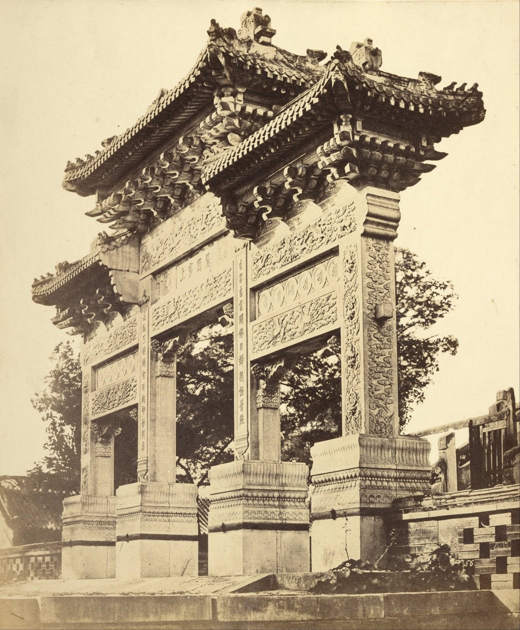 Bue i Lama-tempelet nær Peking av Felice Beato