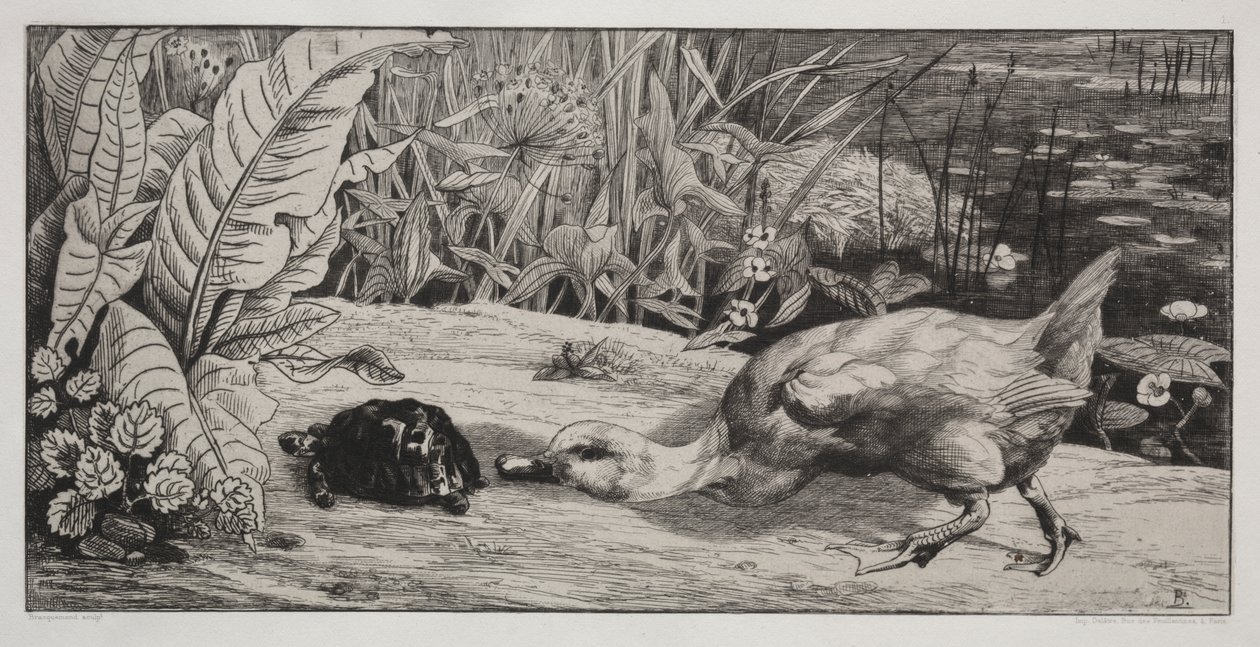 En ukjent av Felix Bracquemond