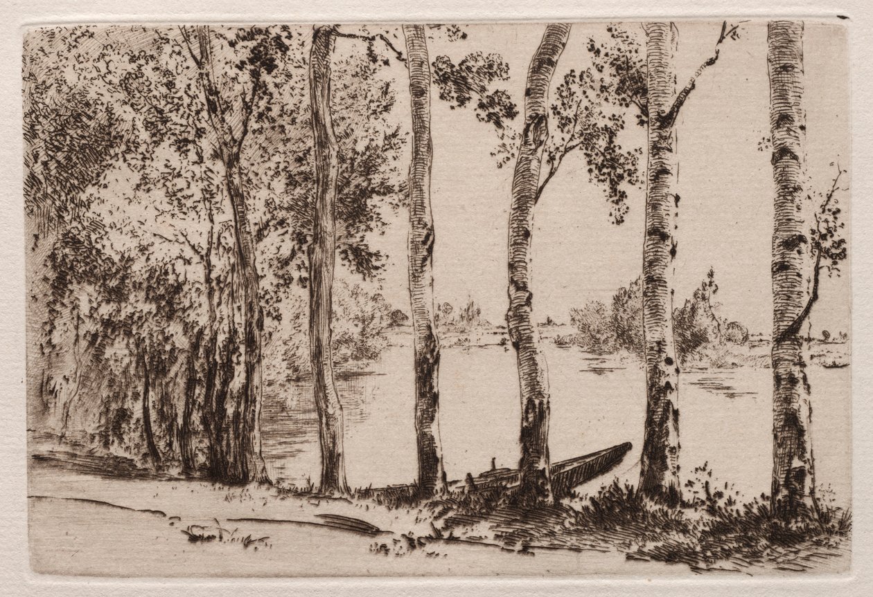 Osp på Seinebredden. av Felix Bracquemond