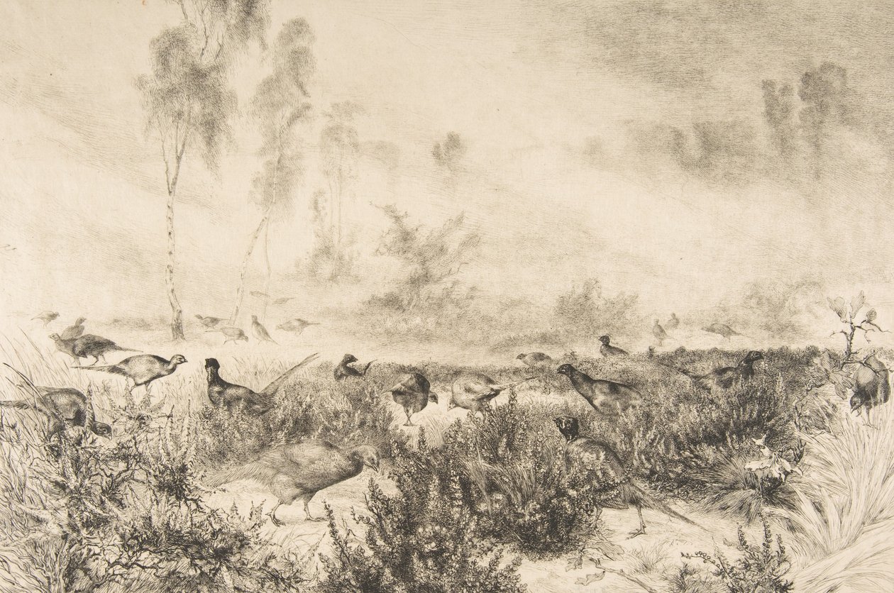 Morgentåker, 1882. av Felix Bracquemond