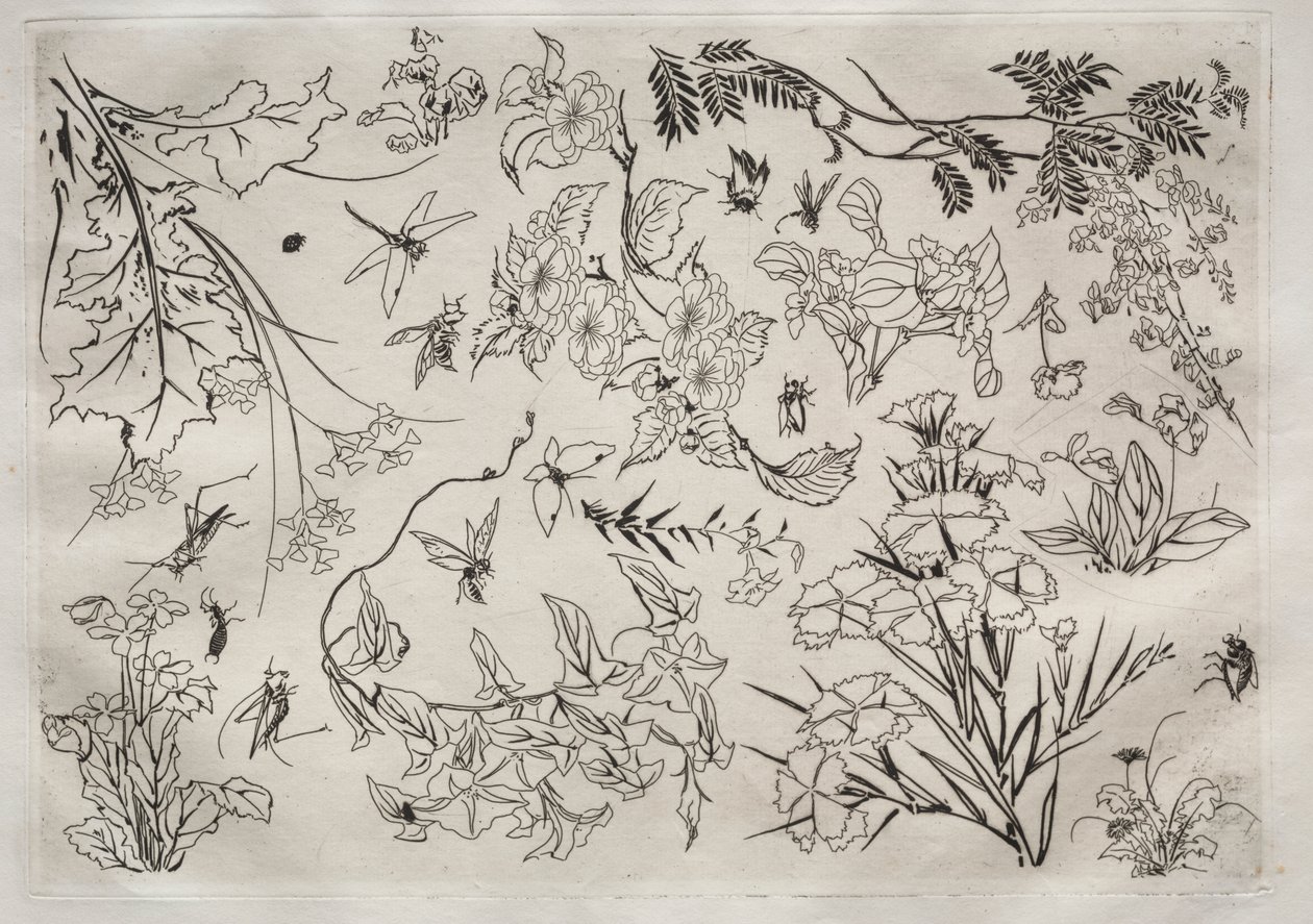 Middagsservering (Rousseau-servering): Blomster (nr. 22) av Felix Bracquemond