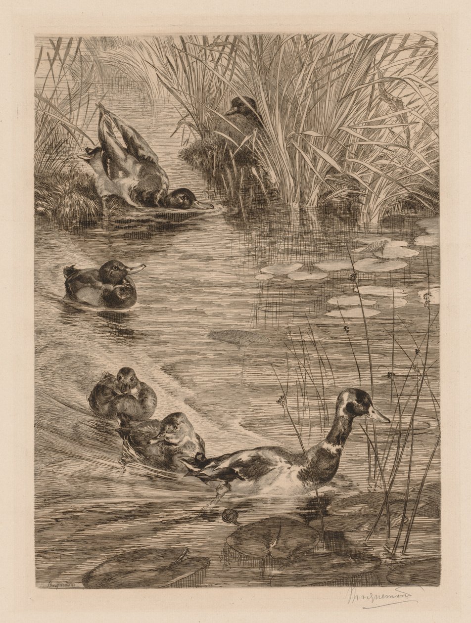 Ender i lek, ca. 1870. av Felix Bracquemond
