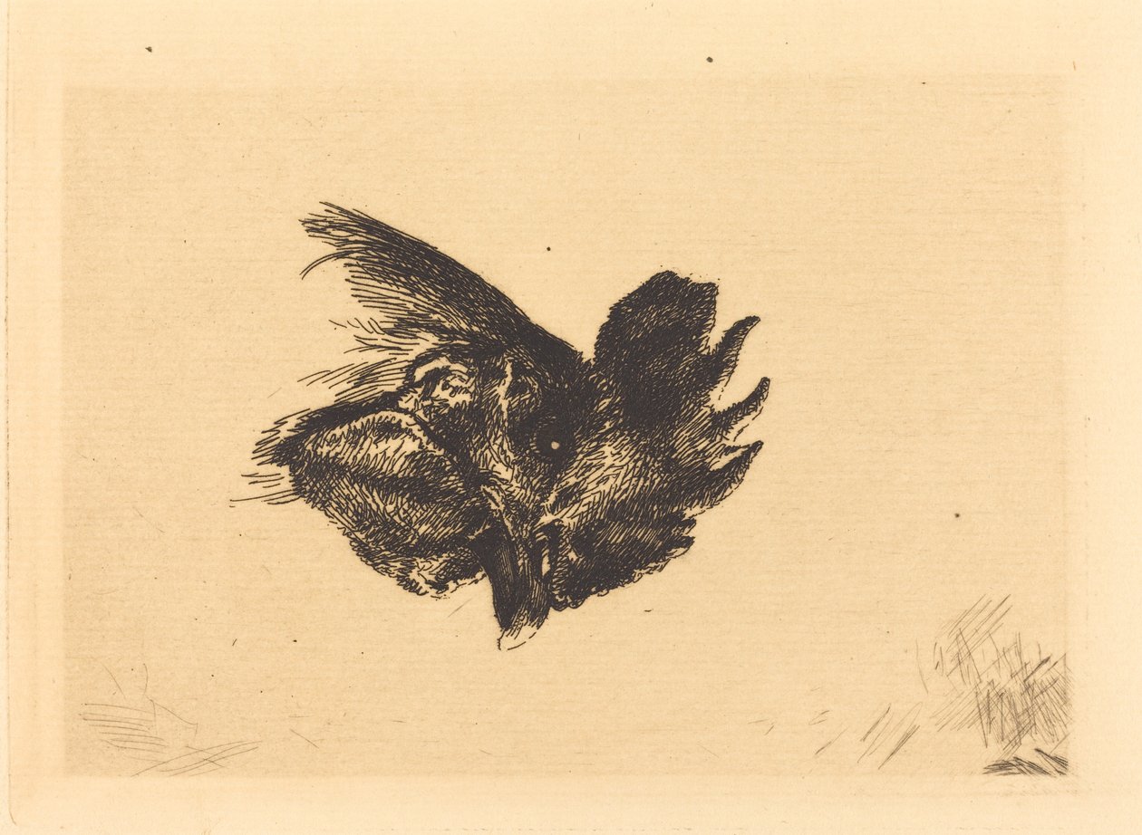 Head of a Cock   1251343   no       norwegian Successfully Translated  Original: The Approaching Storm Translat: The Approaching Storm 1218878 no norwegian Successfully Translated Original: Boer Translat: Boer 1372829 no norwegian Successfully Translated O av Felix Bracquemond