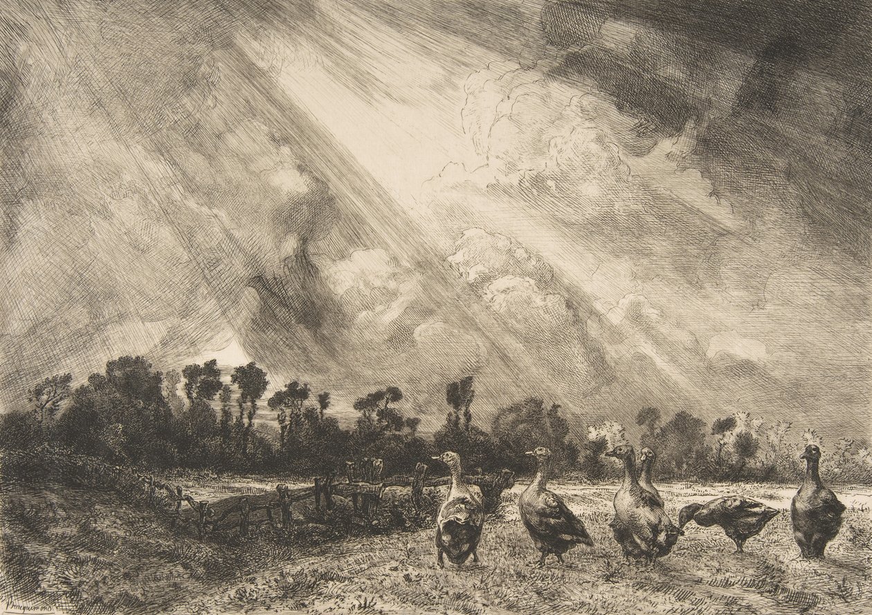 Stormskyen, 1882-84. av Felix Bracquemond