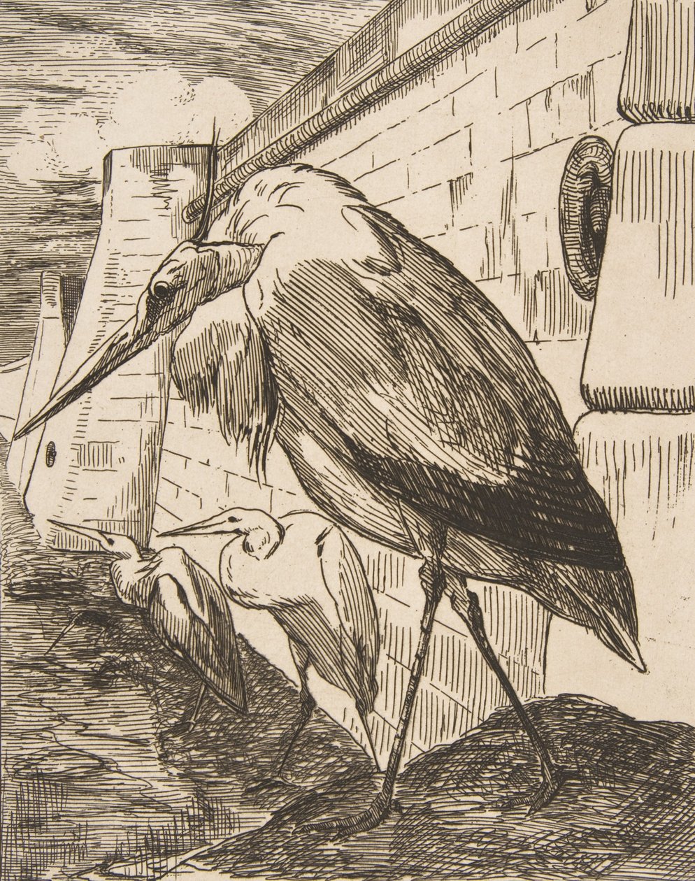 Storkene, 1870-årene, 1870-årene. av Felix Bracquemond