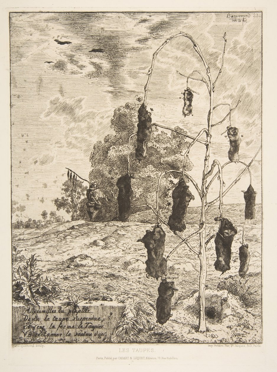 Føflekkene, 1854. av Felix Bracquemond