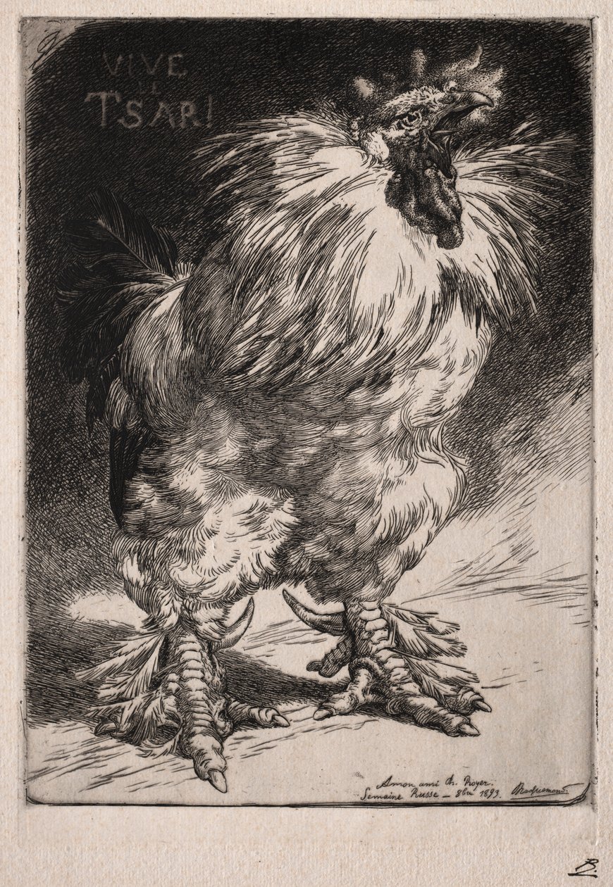 Den franske hanen, 1893. av Felix Bracquemond