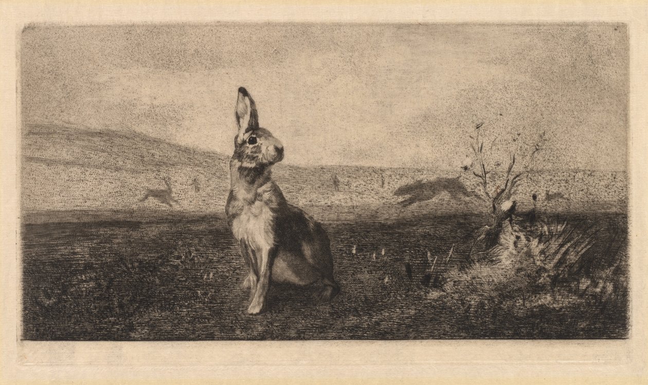 The Hare Le Hare, 1865. av Felix Bracquemond