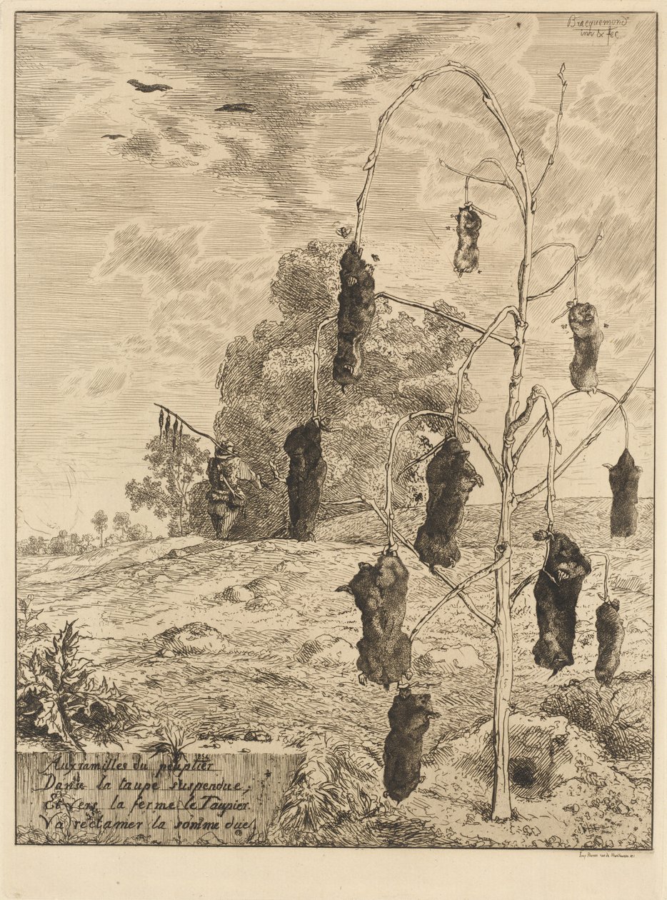 Føflekkene av Felix Bracquemond