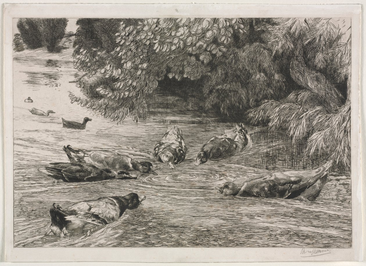 Spørsmålstegnet, c. 1865. av Felix Bracquemond