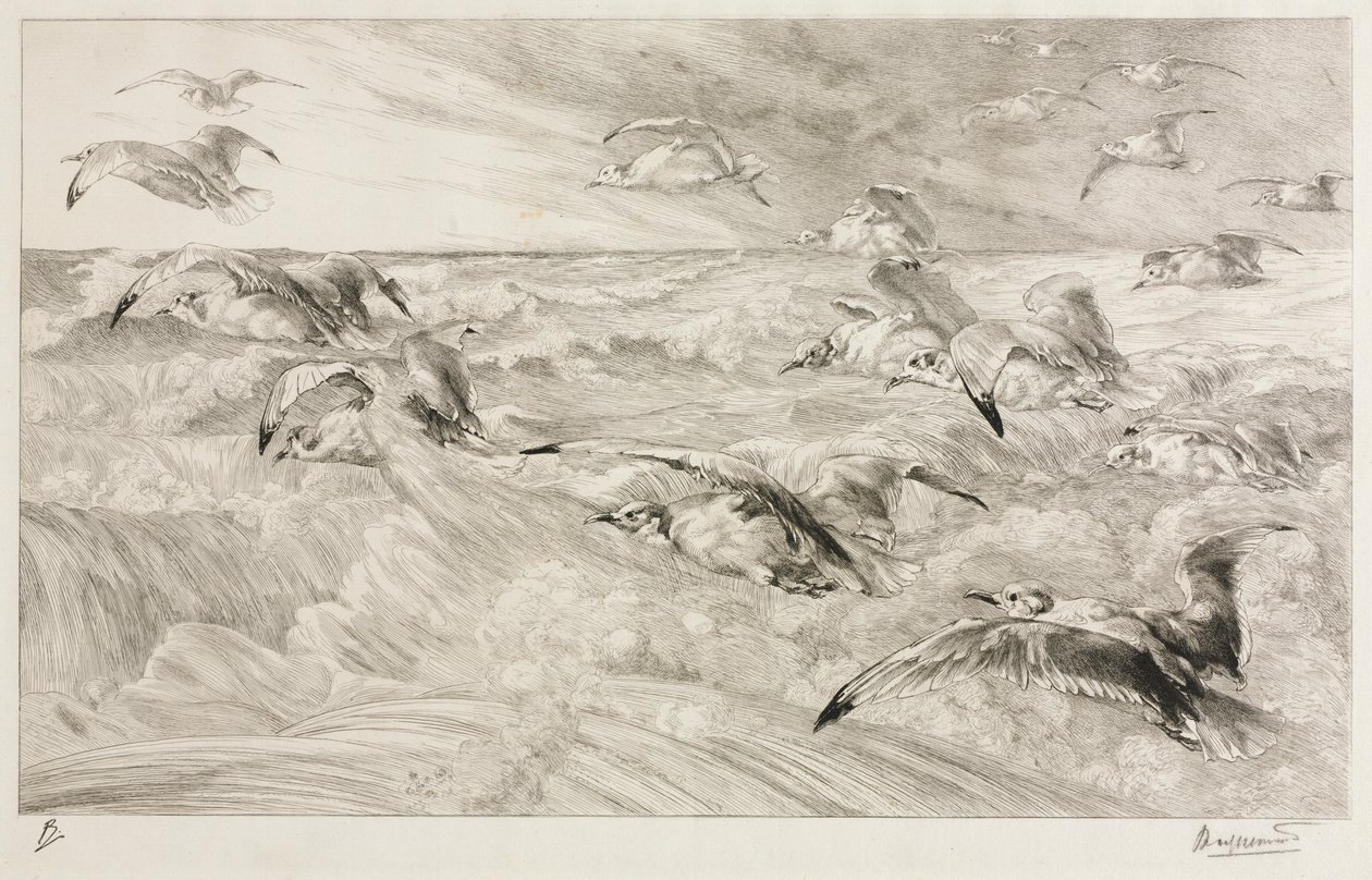 Måkene, ca. 1880. av Felix Bracquemond