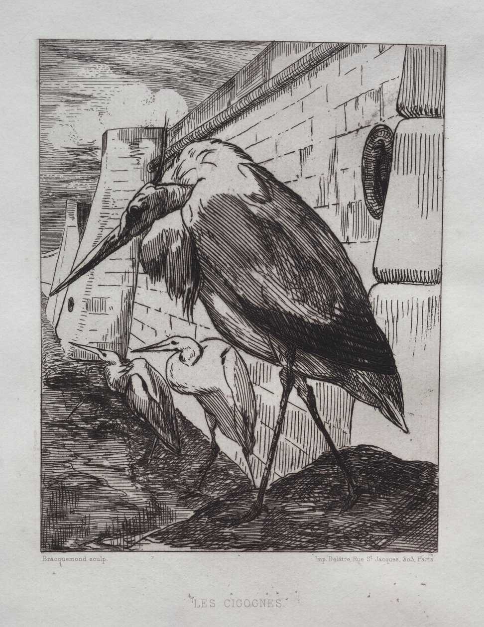 Storkene, 1865. av Felix Bracquemond