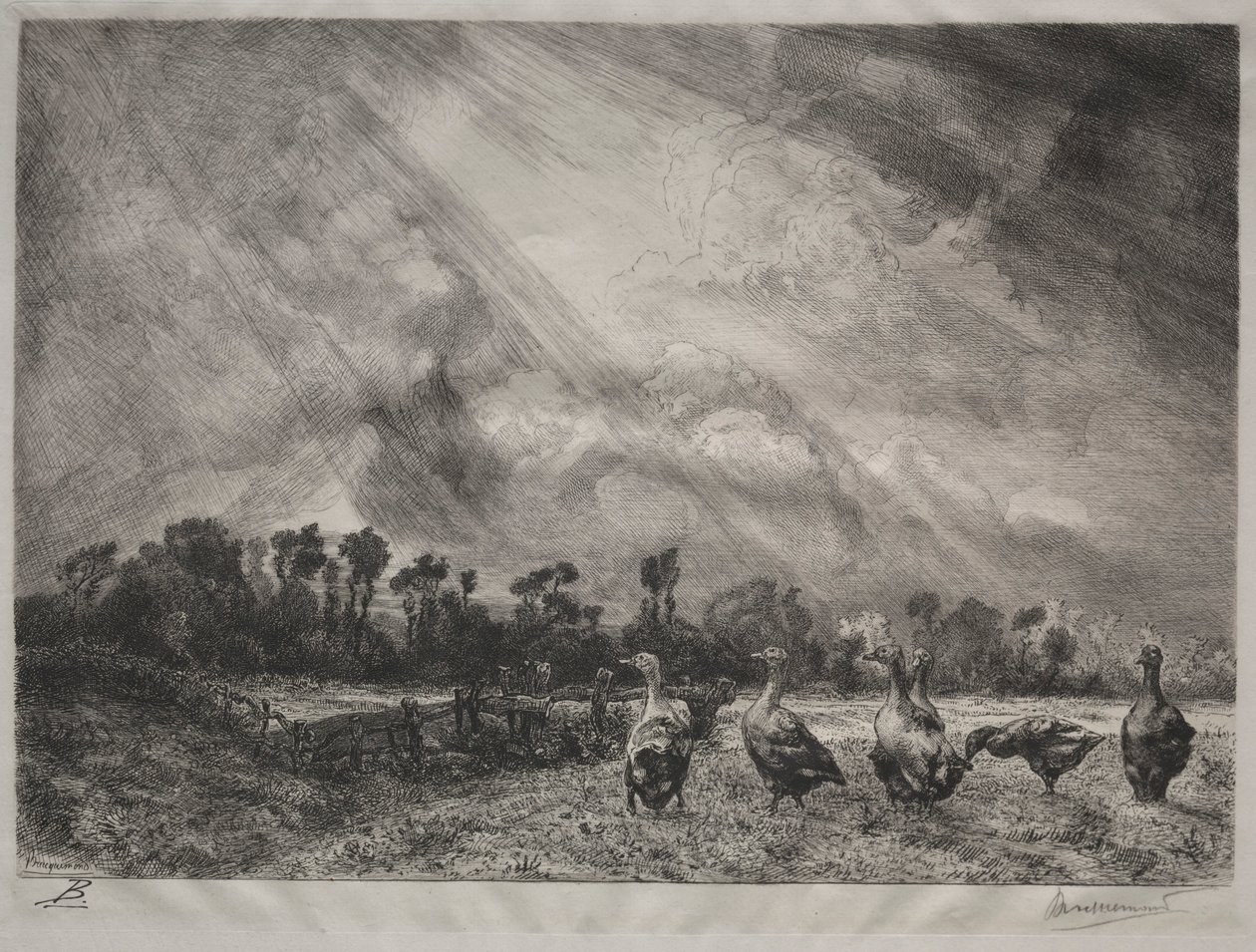 Stormskyen, 1878-1887. av Felix Bracquemond