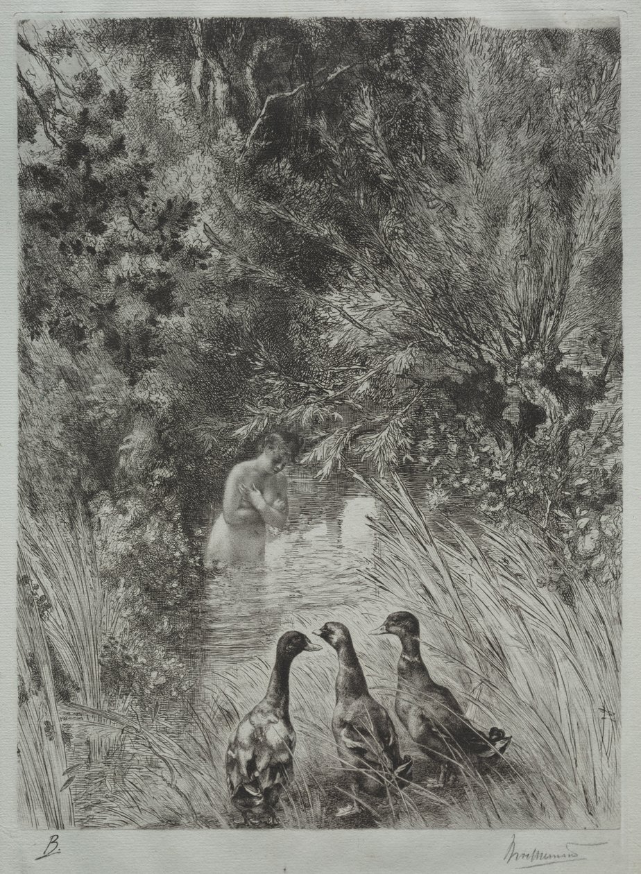 The Surprised Ducks av Felix Bracquemond