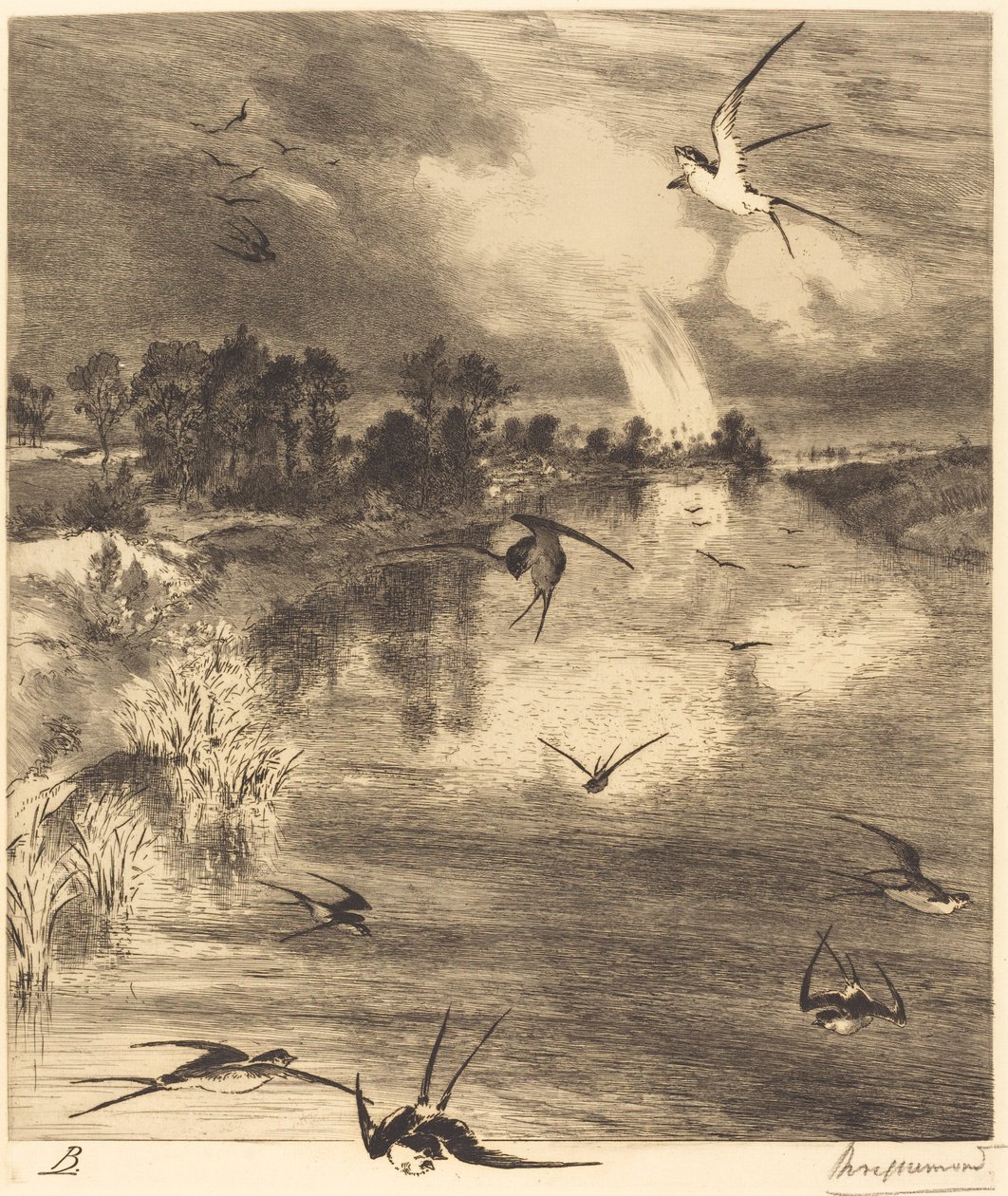 Svalene av Felix Bracquemond