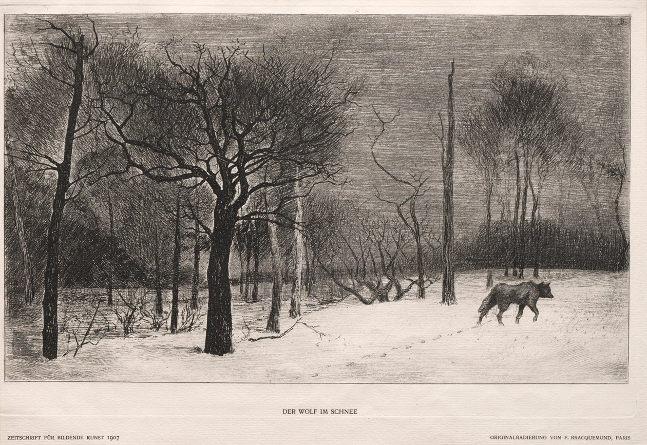 Vinter, 1862. av Felix Bracquemond
