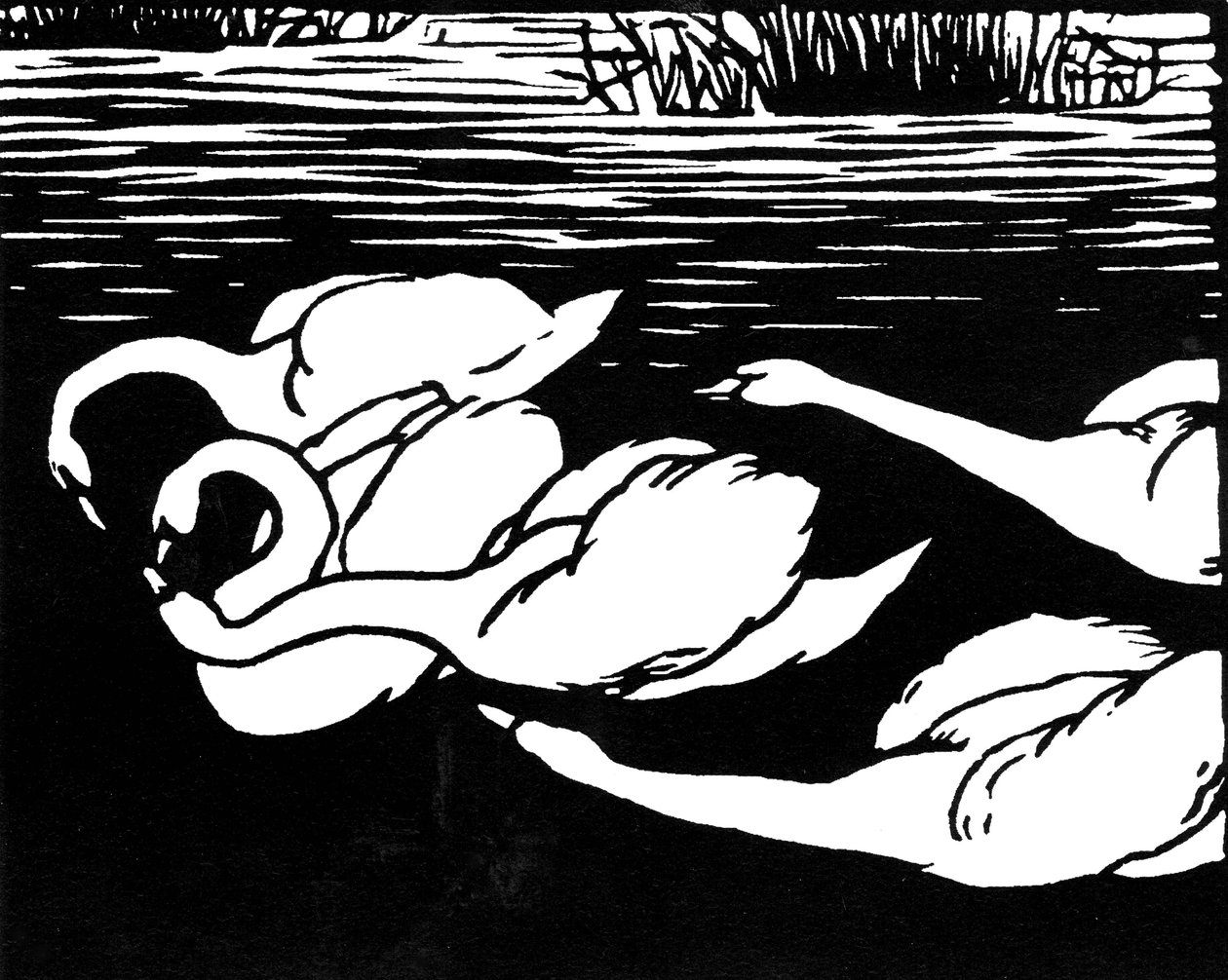 Svaner, 1892. av Felix Edouard Vallotton