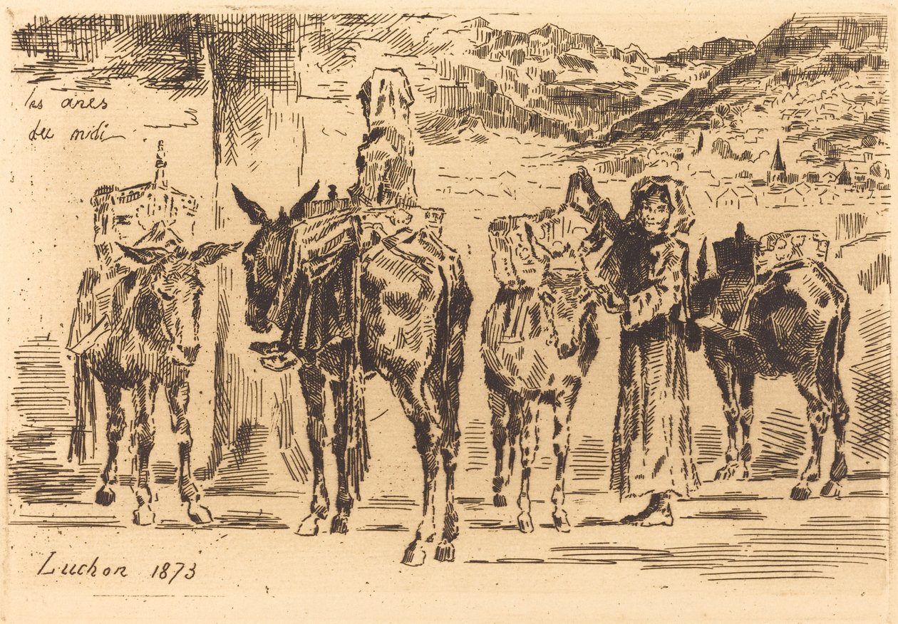 Ark med esler fra sør, 1873. av Felix Hilaire Buhot