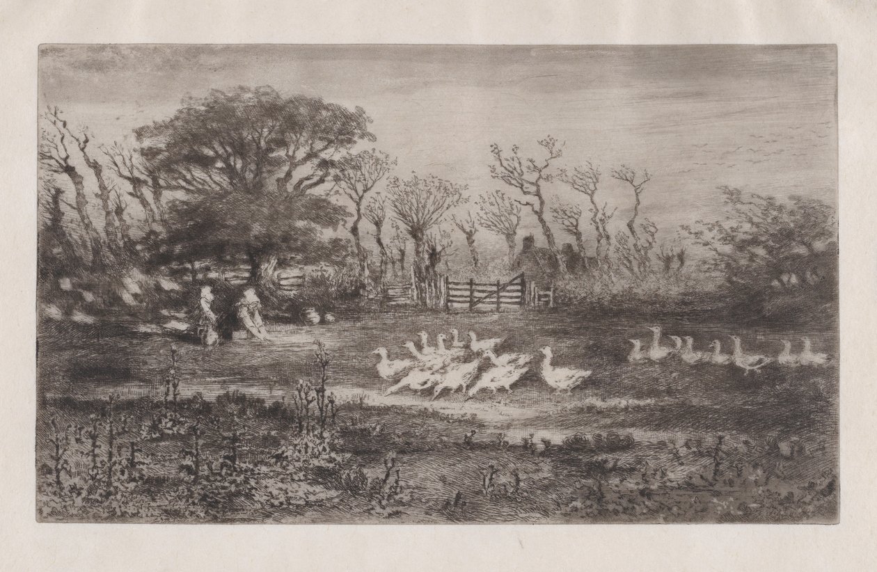 Gjess, 1860-98. av Felix Hilaire Buhot