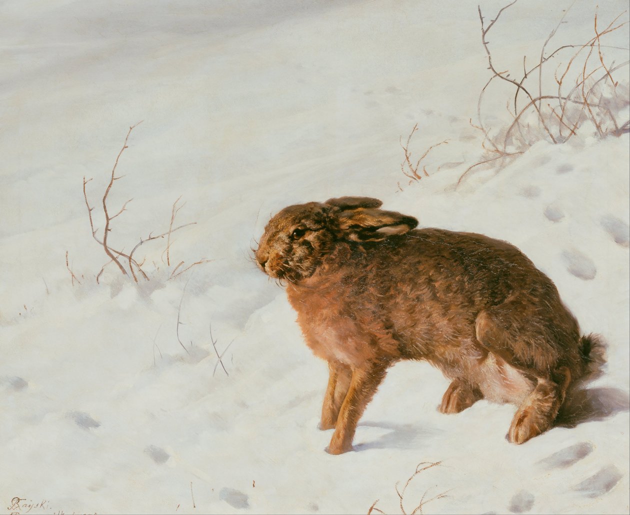 Hare i snøen av Louis Ferdinand von Rayski