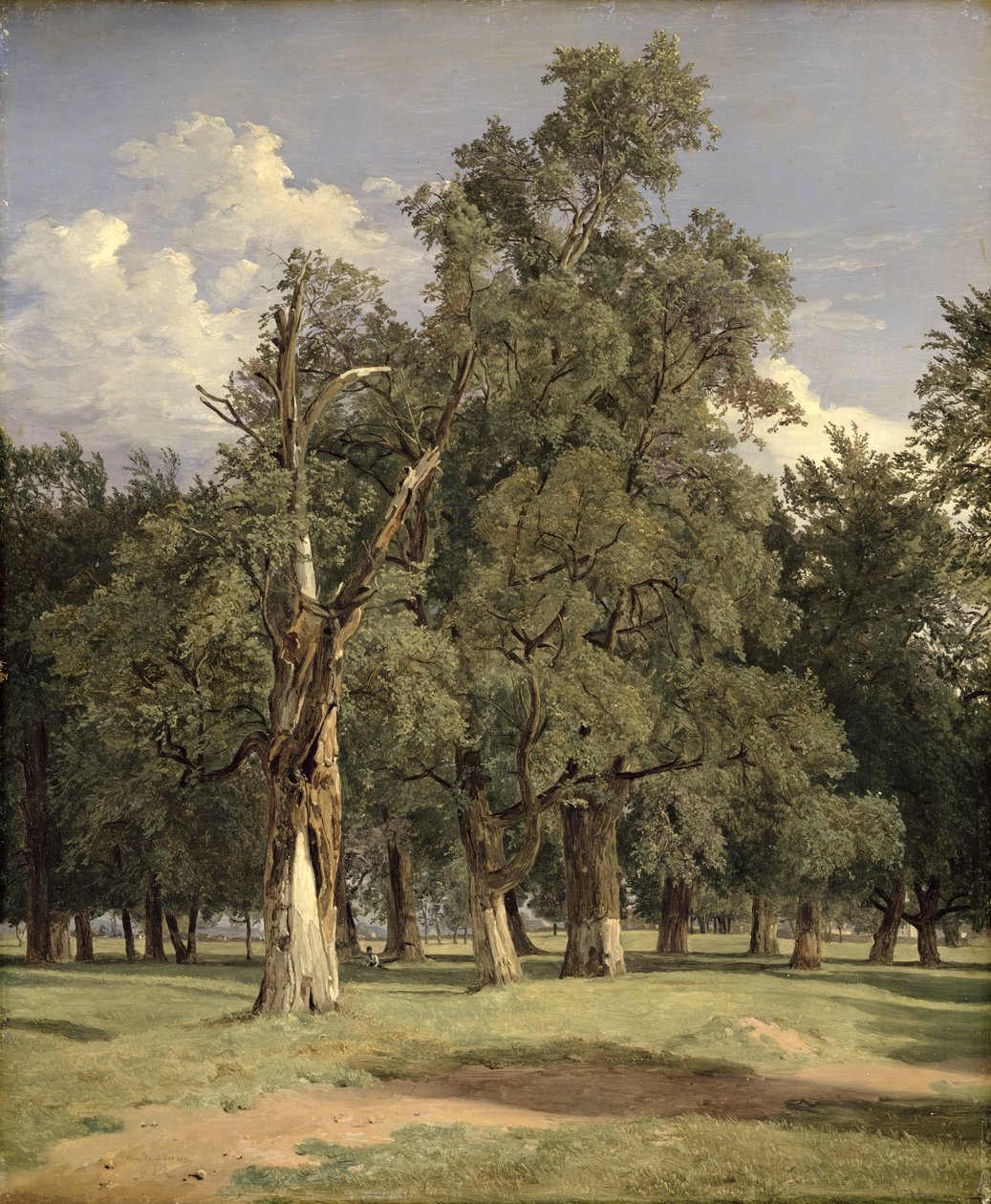 Elmetrær i Prater, 1831 av Ferdinand Georg Waldmuller