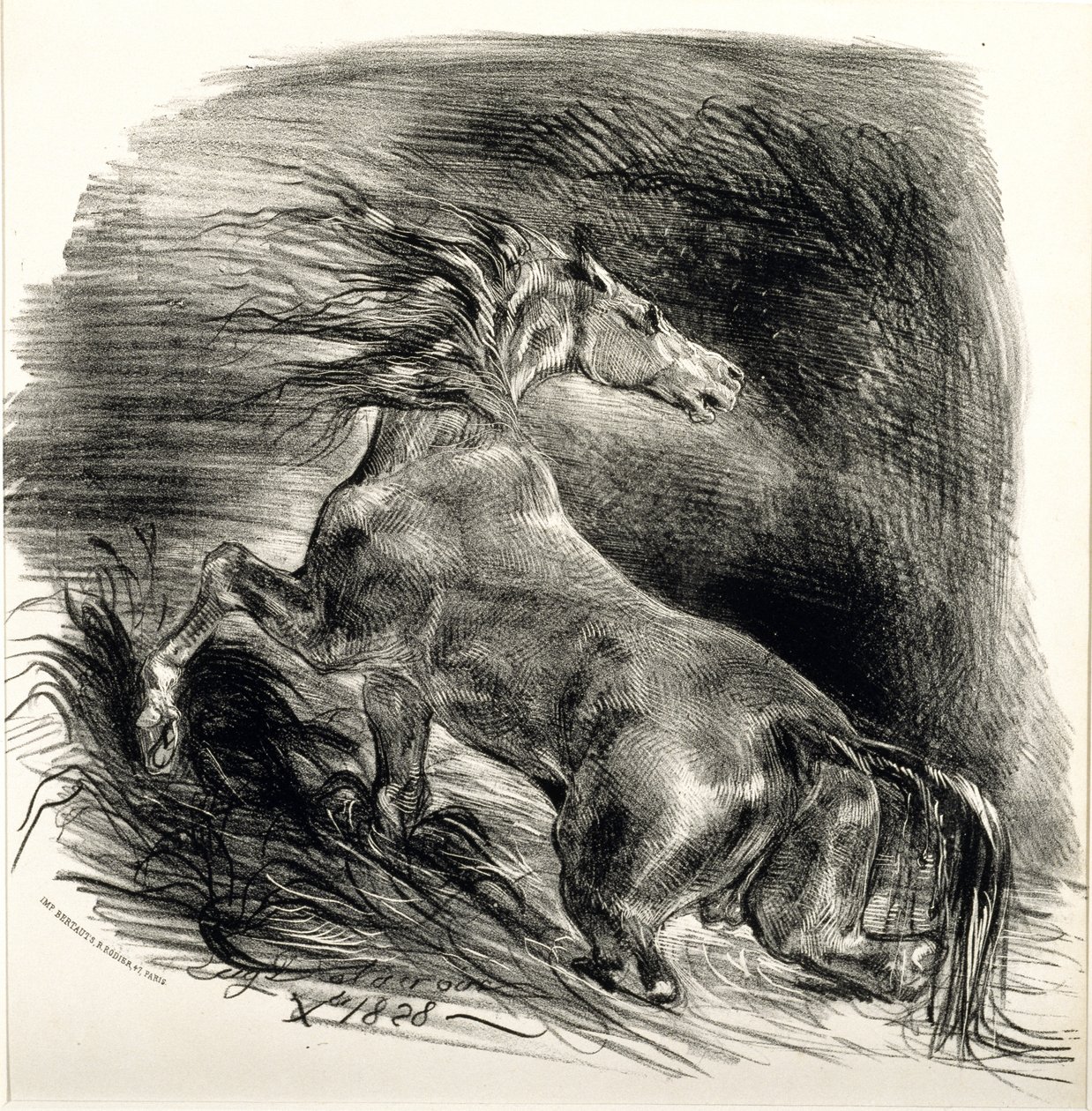 Cheval sauvage, 1828 (litho på vevd papir) av Ferdinand Victor Eugene Delacroix