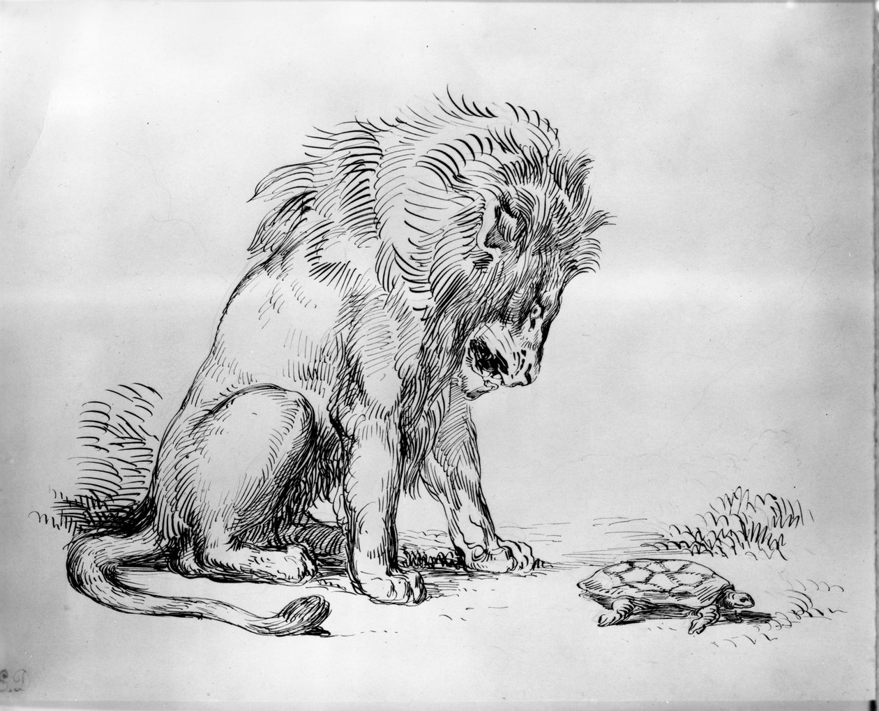 Løve og skilpadde av Ferdinand Victor Eugene Delacroix