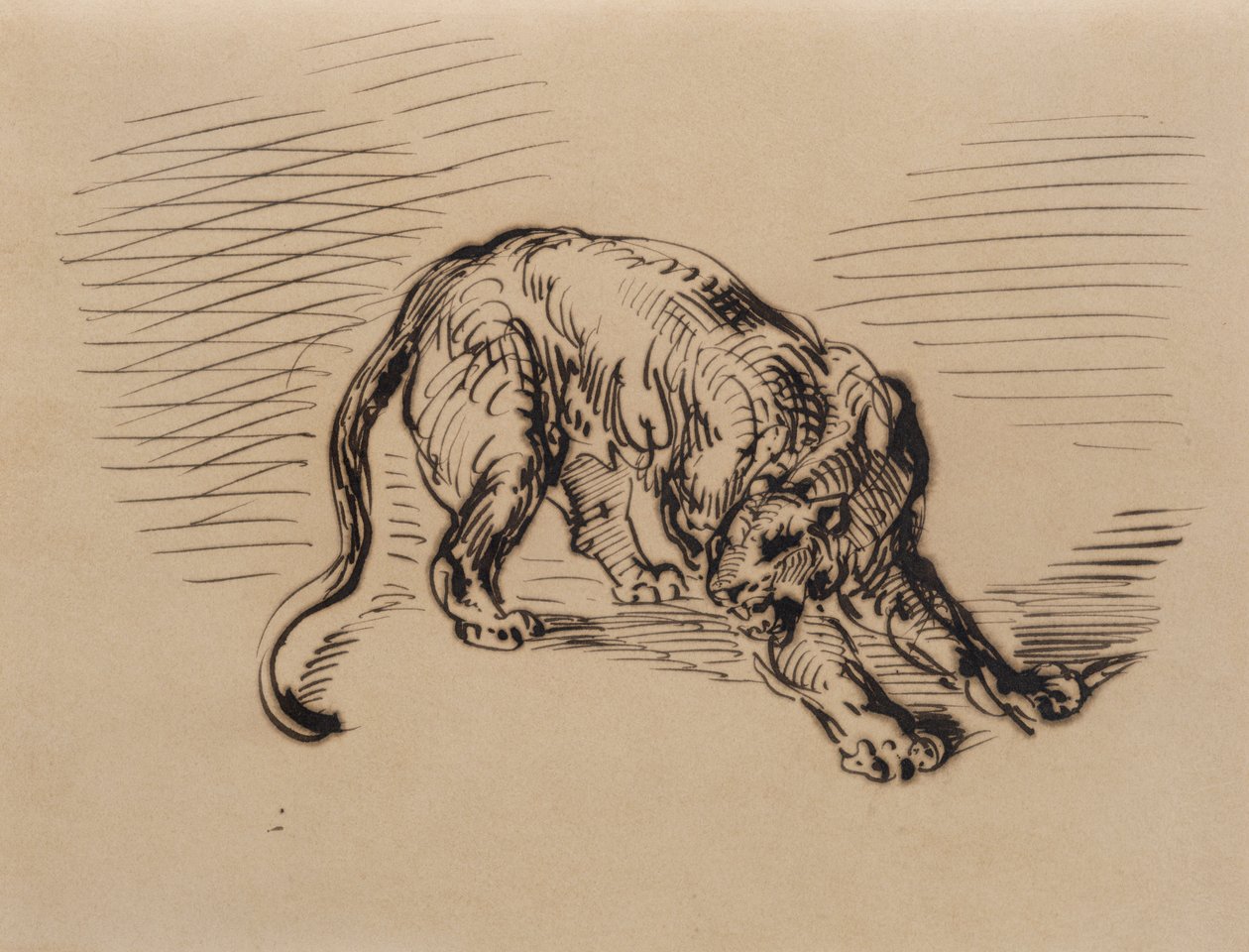 Tiger Frightened by a Snake, 1858 (penn og blekk på kalkerpapir) av Ferdinand Victor Eugene Delacroix