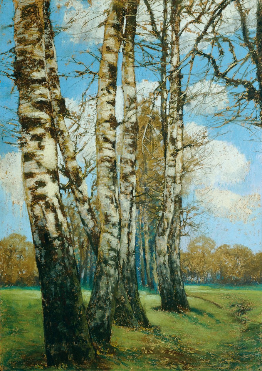 Birken av Ferdinand Engelmuller