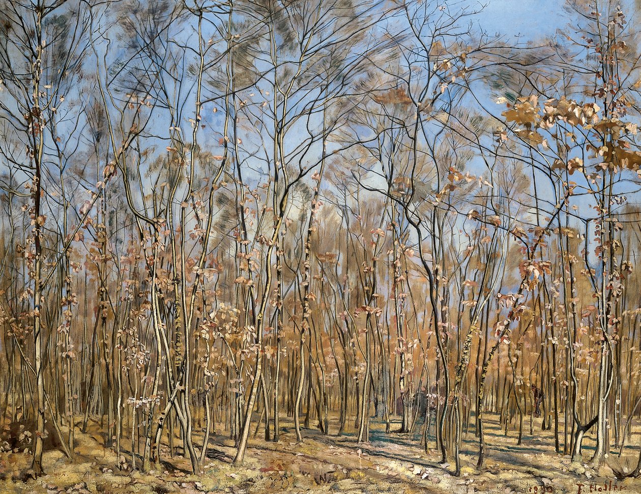Bøkeskog, 1885-1894 . av Ferdinand Hodler