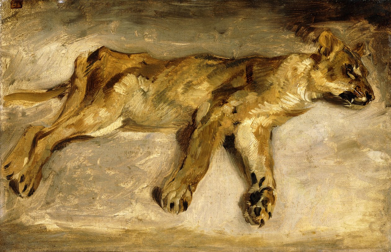 En sovende løvinne, ca. 1830 av Ferdinand Victor Eugene Delacroix