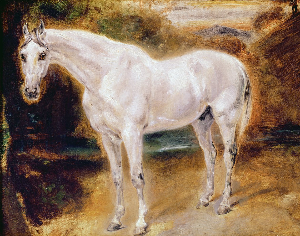 Hvit hest av Ferdinand Victor Eugene Delacroix